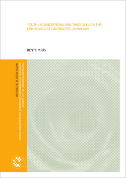 youth organizations and their role in the democratization process in