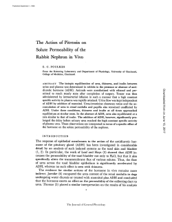 The Action of Pitressin on Solute Permeability of the Rabbit Nephron