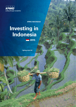 Investing in Indonesia