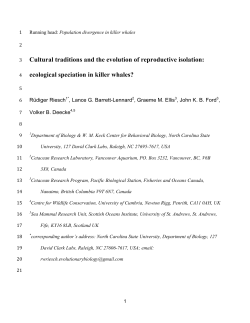 Cultural traditions and the evolution of reproductive isolation