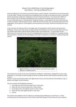 Bionew Trial on Buffel Grass in Central Queensland Scott Stevens