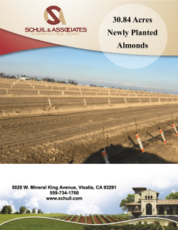 31 Aacres Almonds