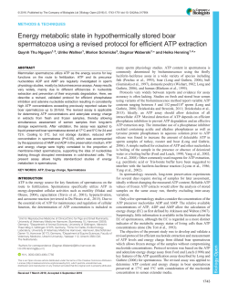 Energy metabolic state in hypothermically stored boar spermatozoa