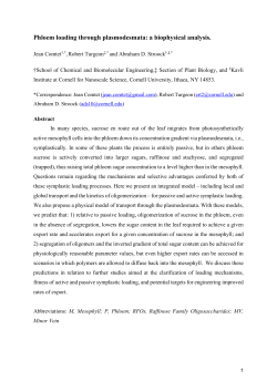 Phloem loading through plasmodesmata: a biophysical analysis.