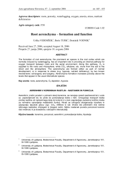 Root aerenchyma – formation and function