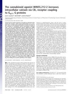 The cannabinoid agonist WIN55,212-2 increases