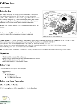 Cell Nucleus - CellBiology
