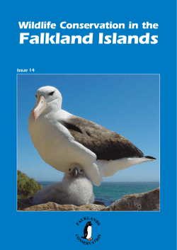Issue 14 - May 2011 - Falklands Conservation