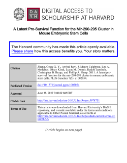 A Latent Pro-Survival Function for the Mir-290