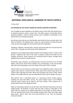 no armadillos, but south american animals abound in pretoria