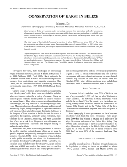 conservation of karst in belize