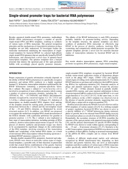 Single-strand promoter traps for bacterial RNA polymerase