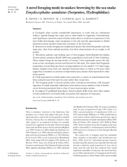 A novel foraging mode in snakes: browsing by the sea snake