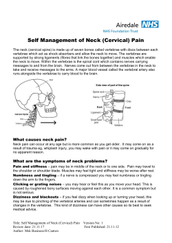 Self Management of Neck (Cervical) Pain