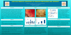 - Waynesburg University