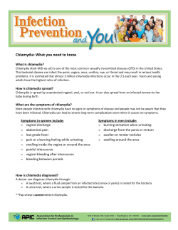 Chlamydia: What you need to know