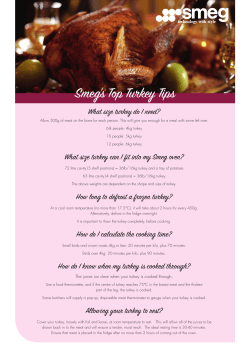 Smeg`s Top Turkey Tips