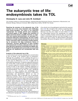The eukaryotic tree of life: endosymbiosis takes its TOL
