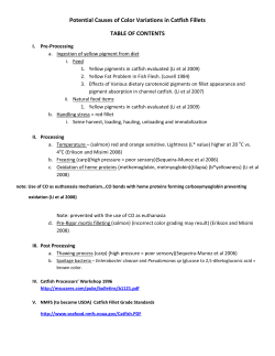 Potential Causes of Color Variations in Catfish Fillets TABLE OF