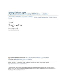 Kangaroo Rats - DigitalCommons@University of Nebraska