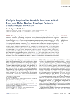Kar5p Is Required for Multiple Functions in Both Inner and Outer