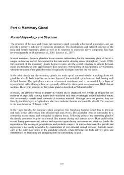 Part 4: Mammary Gland