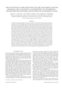 JMS 70_1 021-029 eyh002 FINAL