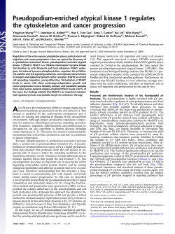 Pseudopodium-enriched atypical kinase 1 regulates the