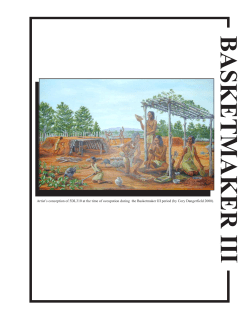 Basketmaker III Synthesis - Woods Canyon Archaeological