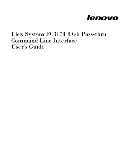 Lenovo Flex System FC3171 8 Gb Pass