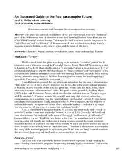 An Illustrated Guide to the Post-catastrophe Future