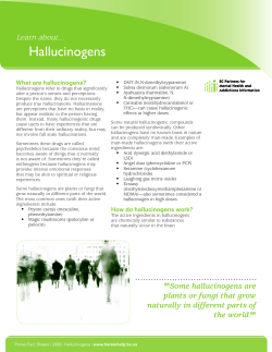 Hallucinogens - Here to Help BC