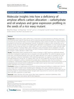 Molecular insights into how a deficiency of amylose affects carbon