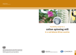 Feasibility study for a cotton spinning mill in 11 sub