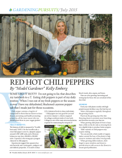 RED HOT CHILI PEPPERS - Westlake Malibu Lifestyle