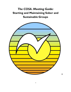 The COSA&reg; Meeting Guide