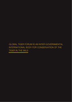 Dec 2011 - Global Tiger Forum