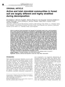 Active and total microbial communities in forest soil are