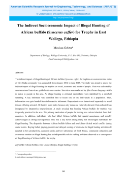 The Indirect Socioeconomic Impact of Illegal Hunting of African