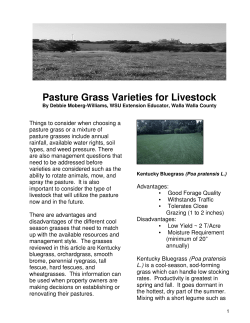 Pasture Grass Varieties for Livestock - WSU Extension
