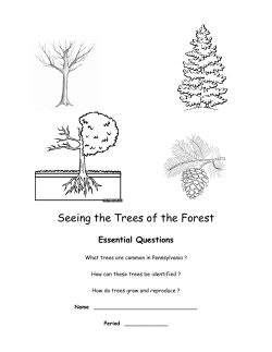 Seeing the Trees of the Forest