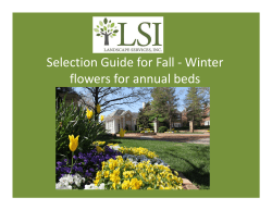 LSI: Selection Guide for Fall - Winter flowers for annual beds