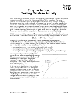 Enzyme Action: Testing Catalase Activity
