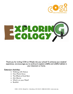 Extension Activities