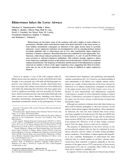 Rhinoviruses Infect the Lower Airways