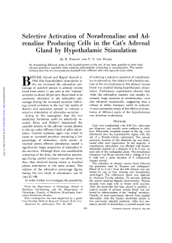 Selective Activation of Noradrenaline and Ad