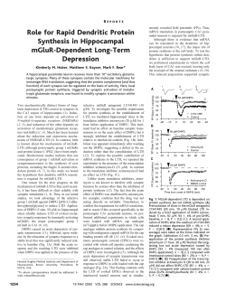 Role for Rapid Dendritic Protein Synthesis in Hippocampal mGluR