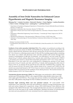 PDF-Document