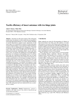 Tactile efficiency of insect antennae with two hinge joints