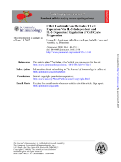 CD28 Costimulation Mediates T Cell Expansion Via IL